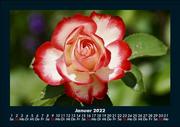 Blumenkalender 2022 Fotokalender DIN A5 - Abbildung 5