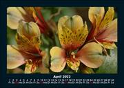 Blumenkalender 2022 Fotokalender DIN A5 - Abbildung 8