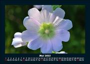 Blumenkalender 2022 Fotokalender DIN A5 - Abbildung 9