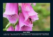 Blumenkalender 2022 Fotokalender DIN A5 - Abbildung 10