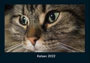 Katzen 2022 Fotokalender DIN A4