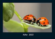 Käfer 2022 Fotokalender DIN A4