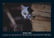 Für Katzenfreunde 2024 Fotokalender DIN A4 - Abbildung 2