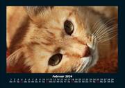 Für Katzenfreunde 2024 Fotokalender DIN A4 - Abbildung 6