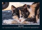 Für Katzenfreunde 2024 Fotokalender DIN A4 - Abbildung 7