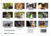 Für Katzenfreunde 2024 Fotokalender DIN A4 - Abbildung 13