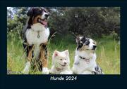 Hunde 2024 Fotokalender DIN A5 - Cover