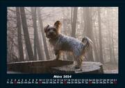 Hunde 2024 Fotokalender DIN A5 - Abbildung 7