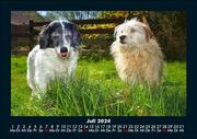 Hunde 2024 Fotokalender DIN A5 - Abbildung 11