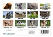 Hunde 2024 Fotokalender DIN A5 - Abbildung 13