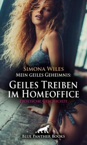 Mein geiles Geheimnis: Geiles Treiben im Homeoffice , Erotische Geschichte