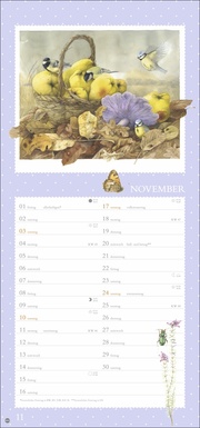 Wunder der Natur Kalender 2024 - Illustrationen 11