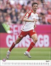 FC Bayern München Posterkalender 2024 - Illustrationen 4