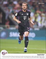 FC Bayern München Posterkalender 2024 - Illustrationen 9