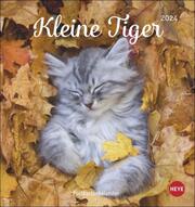 Kleine Tiger Postkartenkalender 2024 - Cover