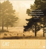 Zeit zum Träumen Postkartenkalender 2024 - Abbildung 10