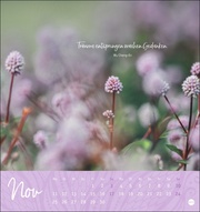 Zeit zum Träumen Postkartenkalender 2024 - Abbildung 11
