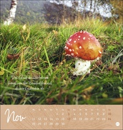 Tage voller Glück Postkartenkalender 2024 - Abbildung 11