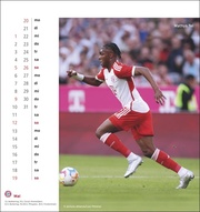 FC Bayern München Postkartenkalender 2024 - Illustrationen 5