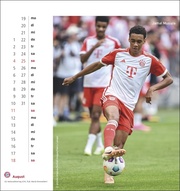 FC Bayern München Postkartenkalender 2024 - Illustrationen 8