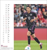 FC Bayern München Postkartenkalender 2024 - Illustrationen 12