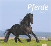 times&more Pferde Bildkalender 2024 - Cover