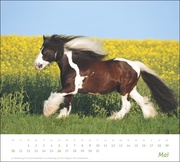 times&more Pferde Bildkalender 2024 - Abbildung 5