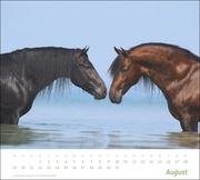 times&more Pferde Bildkalender 2024 - Abbildung 8