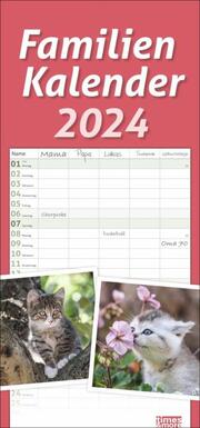 times&more Katzen Familienkalender 2024 - Cover