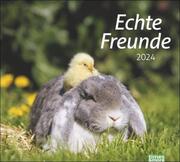 times&more Echte Freunde Bildkalender 2024 - Cover