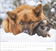 times&more Echte Freunde Bildkalender 2024 - Abbildung 1
