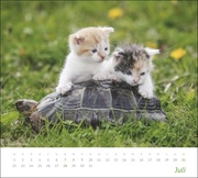 times&more Echte Freunde Bildkalender 2024 - Abbildung 7