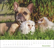 times&more Echte Freunde Bildkalender 2024 - Abbildung 11