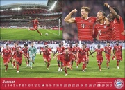 FC Bayern München - Deutscher Meister 2024 - Illustrationen 1
