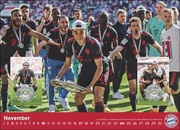 FC Bayern München - Deutscher Meister 2024 - Illustrationen 11
