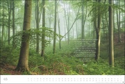 Der deutsche Wald 2024 - Abbildung 3