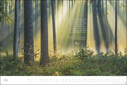 Der deutsche Wald 2024 - Abbildung 8