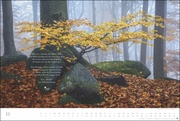 Der deutsche Wald 2024 - Abbildung 11