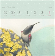 Schönheit der Natur - Premium-Postkartenkalender 2024 - Abbildung 5