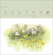 Schönheit der Natur - Premium-Postkartenkalender 2024 - Abbildung 10