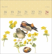 Schönheit der Natur - Premium-Postkartenkalender 2024 - Abbildung 12
