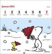 Peanuts Premium-Postkartenkalender 2024 - Abbildung 1