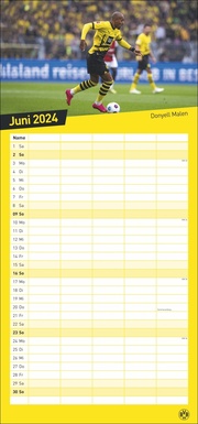 Borussia Dortmund Familienplaner 2024 - Abbildung 6