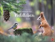 Märchenhaftes Waldleben 2024 - Cover