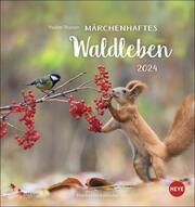 Märchenhaftes Waldleben - Postkartenkalender 2024 - Cover