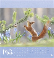 Märchenhaftes Waldleben - Postkartenkalender 2024 - Illustrationen 5