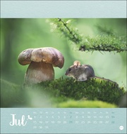 Märchenhaftes Waldleben - Postkartenkalender 2024 - Illustrationen 7
