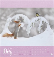 Märchenhaftes Waldleben - Postkartenkalender 2024 - Illustrationen 12