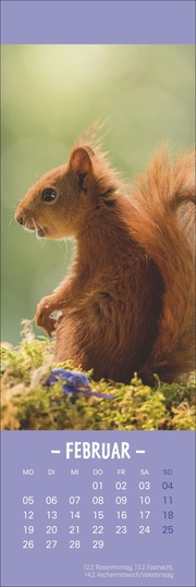 Eichhörnchen - Lesezeichen & Kalender 2024 - Abbildung 2