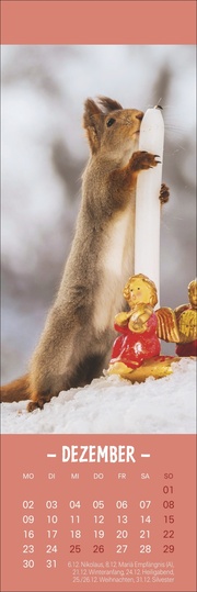 Eichhörnchen - Lesezeichen & Kalender 2024 - Abbildung 12